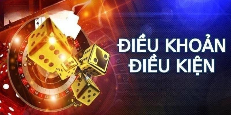 dieu-kien-dieu-khoan-2